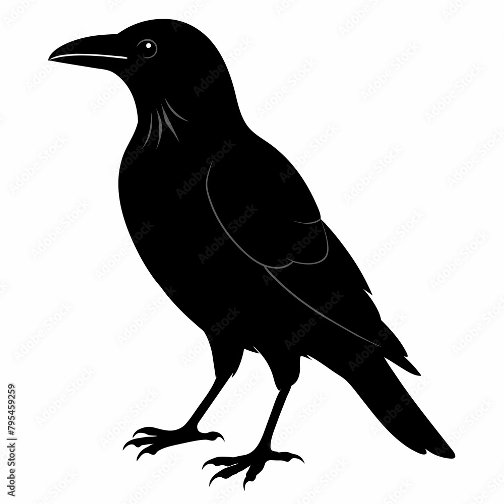 Obraz premium crow silhouette vector illustration