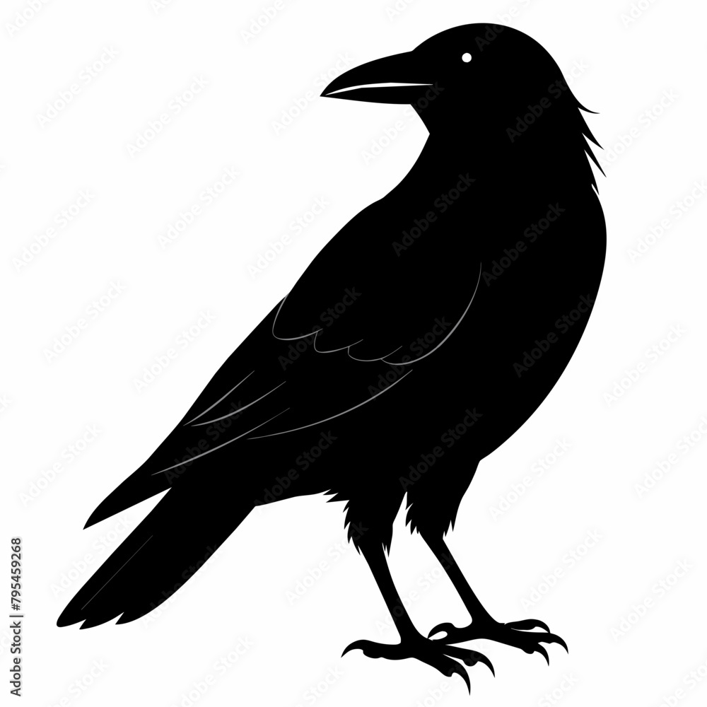 Fototapeta premium crow silhouette vector illustration