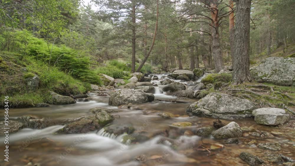 Beautiful time-lapse of a spring mountain snowmelt river waterfall in a forest of trees with roots on the ground, waterfall gently moving down the river of a mountain landscape enveloped by old mounta Beautiful time-lapse of a spring mountain snowmelt river waterfall in a forest of trees with roots on the ground, waterfall gently moving down the river of a mountain landscape enveloped by old mounta