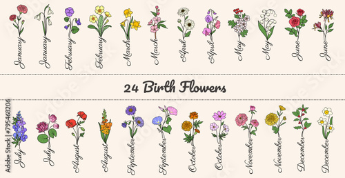 Set 24 birth flowers with month names, vector, for birthday, crafting, card making, cricut cut 