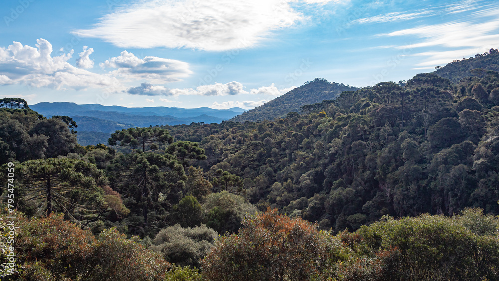 paisagem de    Urubici  Serra Catarinense  Serra Geral  Santa Catarina  Brasil