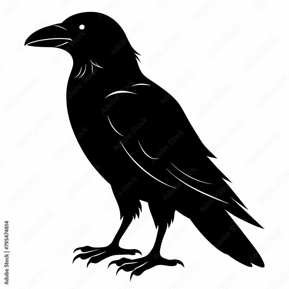 Fototapeta premium Raven silhouette vector illustration on white background