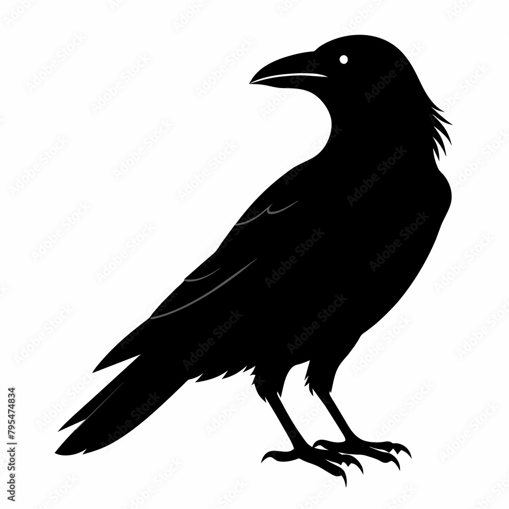 Fototapeta premium Raven silhouette vector illustration on white background