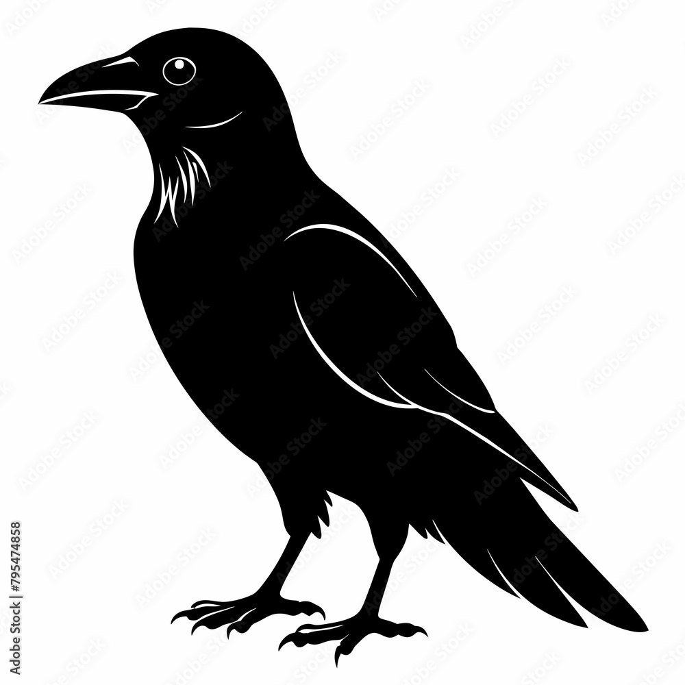Fototapeta premium Raven silhouette vector illustration on white background