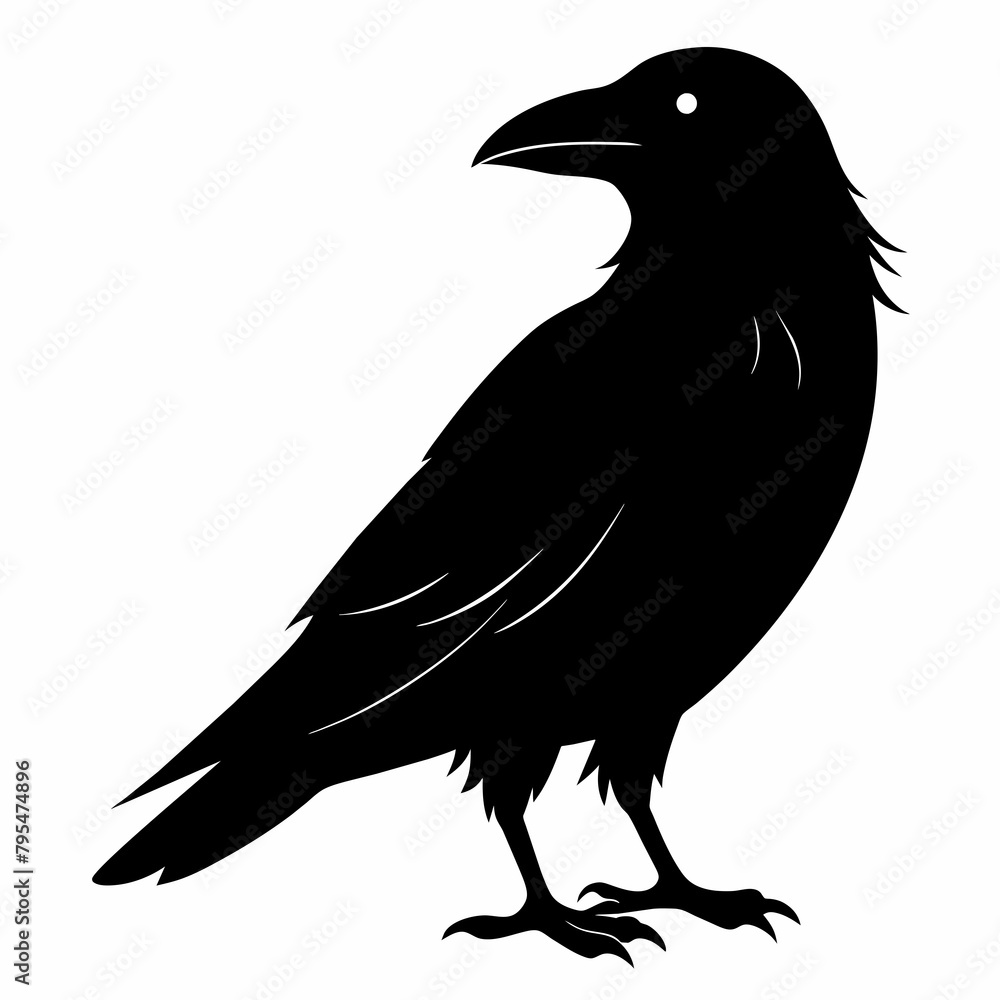 Fototapeta premium Raven silhouette vector illustration on white background