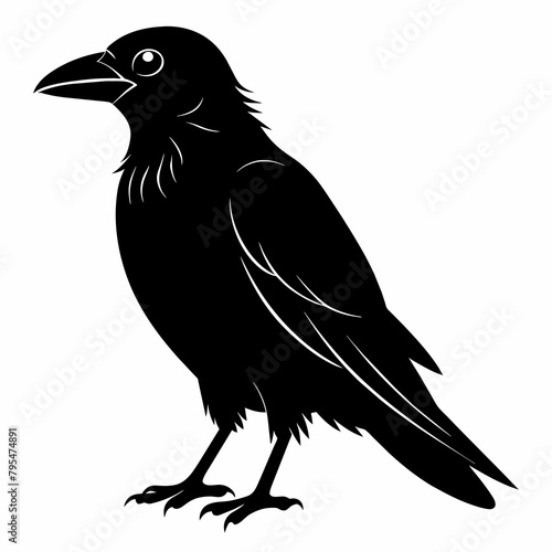 Raven silhouette vector illustration on white background