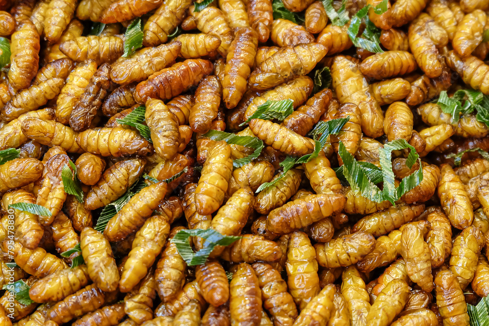 Cricket edible insect Silkworm mixed with pandan and Thai pepper powder, Close-up, Top view Cricket edible insect Silkworm mixed with pandan and Thai pepper powder, Close-up, Top view