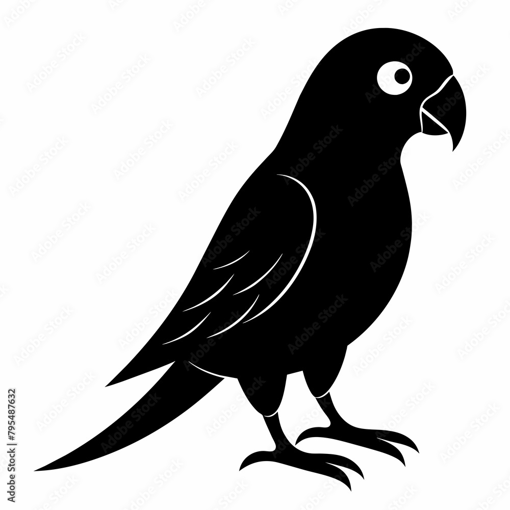 Parakeet sillhouette vector illustration Parakeet sillhouette vector illustration