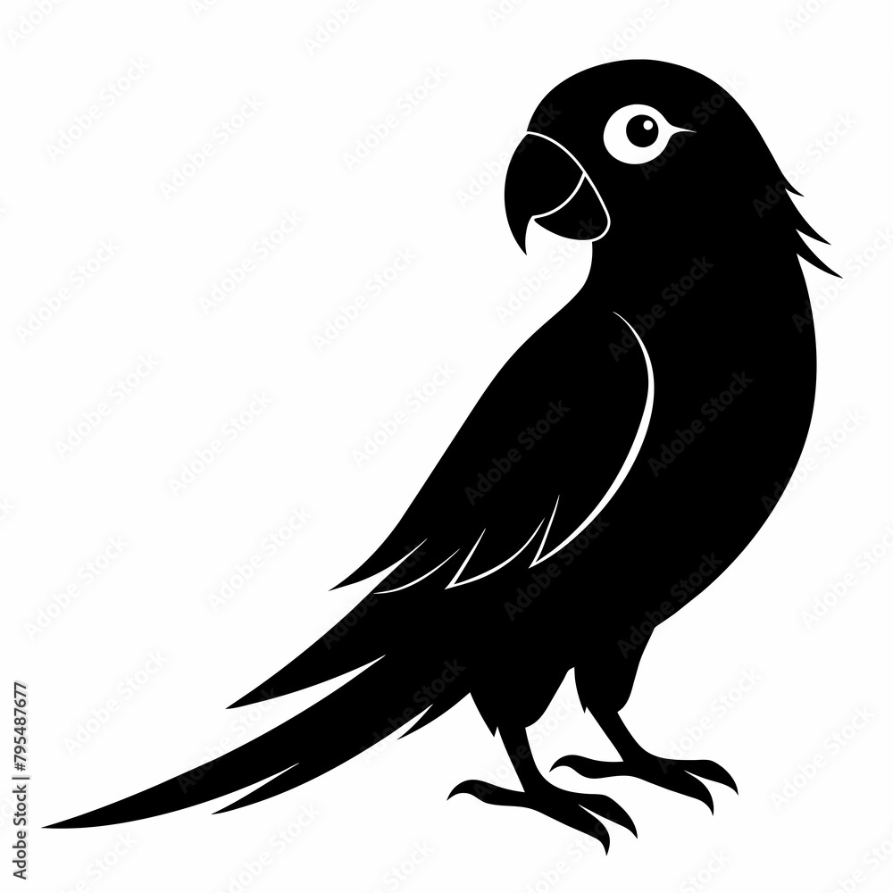 Obraz premium Parakeet sillhouette vector illustration