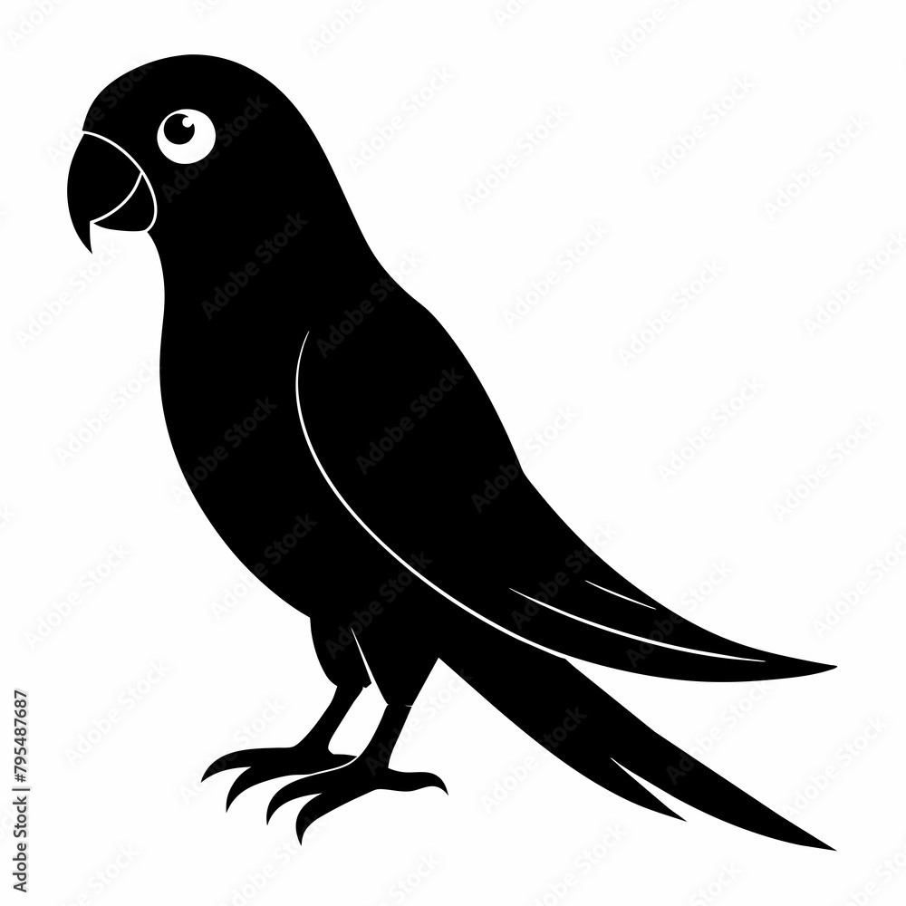 Fototapeta premium Parakeet sillhouette vector illustration