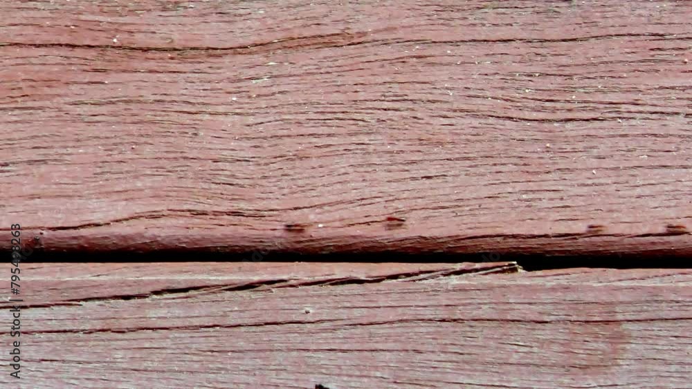 4K, ants busy on timber wooden deck panels planks, macro closeup close, background wallpaper backdrop. 4K, ants busy on timber wooden deck panels planks, macro closeup close, background wallpaper backdrop.