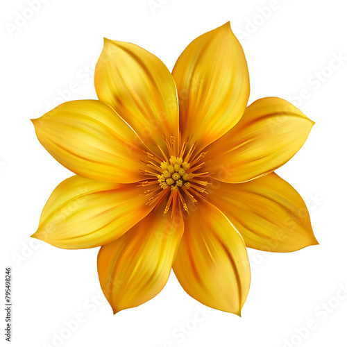 Golden yellow flower, clip art on a white background with copy space