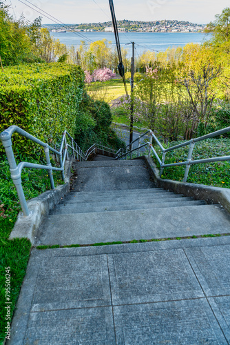 Above West Seattle Stairs 3