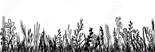 Grass with herbs and wild flowers. Vector isolated silhouette of floral meadow. Horizontal border. © KsanaGraphica