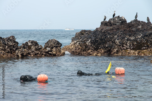View of the swimming female divers collecting seafood in the water