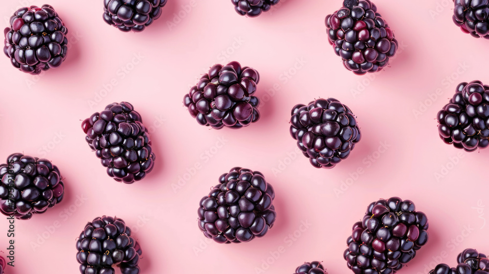 Abundance of blackberries on pink background Abundance of blackberries on pink background