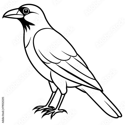 illustration of a bird vector illustration