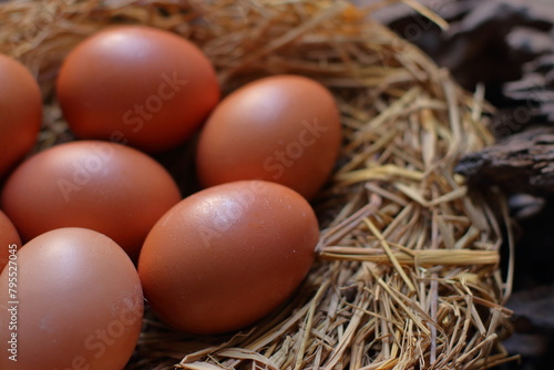 Chicken eggs in a nest on a wooden background