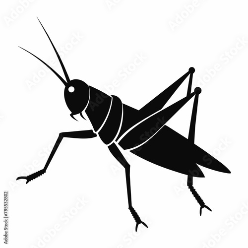 Grasshopper silhouette vector icon illustration 
