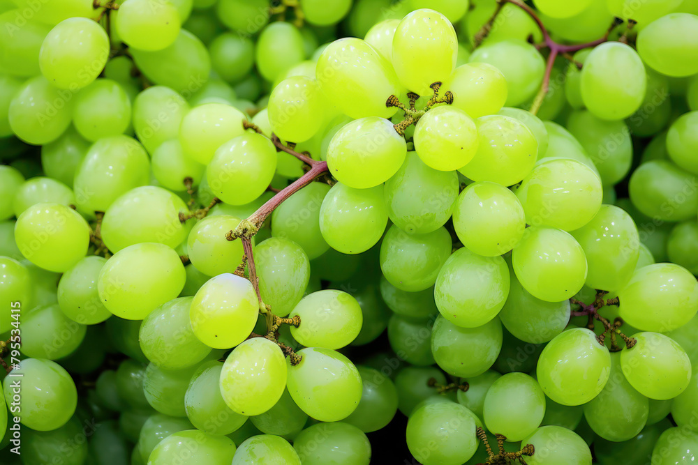 Close up of fresh green grapes Close up of fresh green grapes