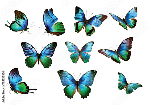 fliegende schmetterlinge