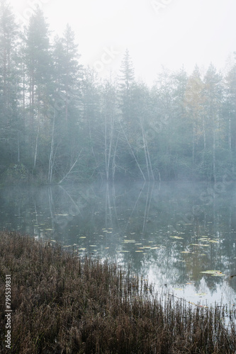 misty morning by the lake. Finland