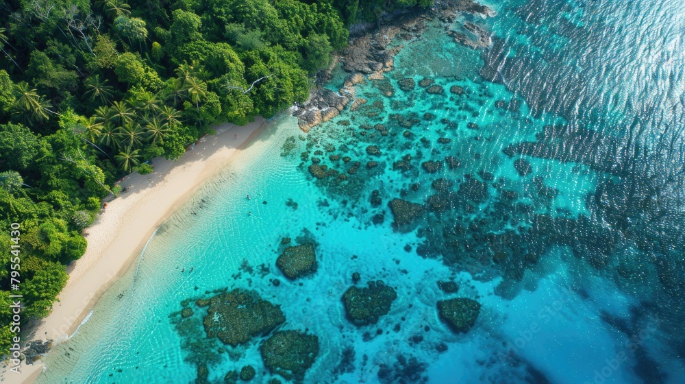 Top view of natural beach with green plants along the coast with transparent water and green coral reefs