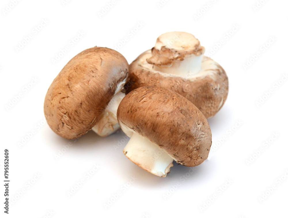 Brown mushrooms isolated on white background Brown mushrooms isolated on white background
