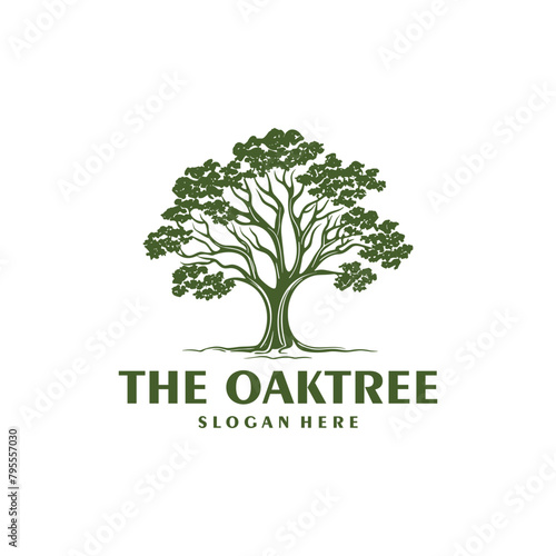 The tree, foundation and non profit logo vector illustration
