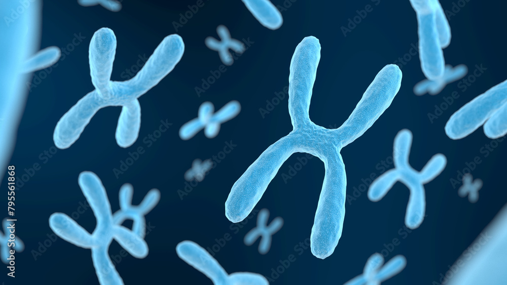 Chromosome on dark background. Blue color. 3d illustration. Chromosome on dark background. Blue color. 3d illustration.