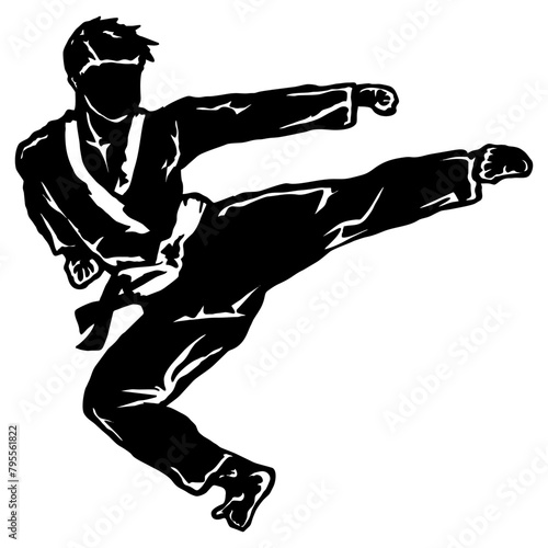 karate taekwondo fly jump kick
