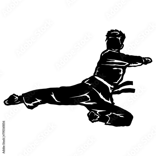 karate taekwondo fly jump kick