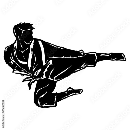 karate taekwondo fly jump kick