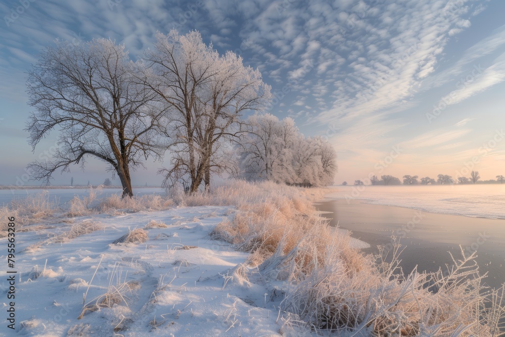 A tranquil snow-covered landscape, with frost-covered trees and a blanket of white stretching to the horizon