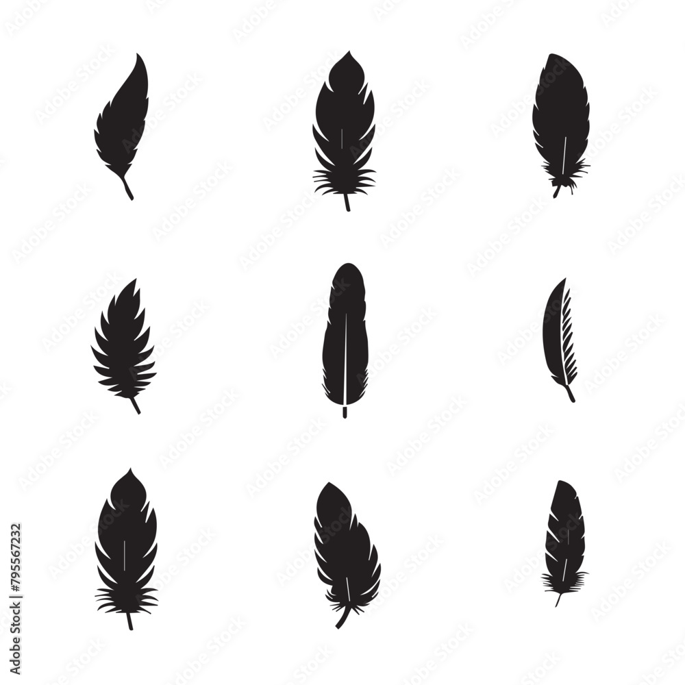 set of silhouettes of feathers set of silhouettes of feathers