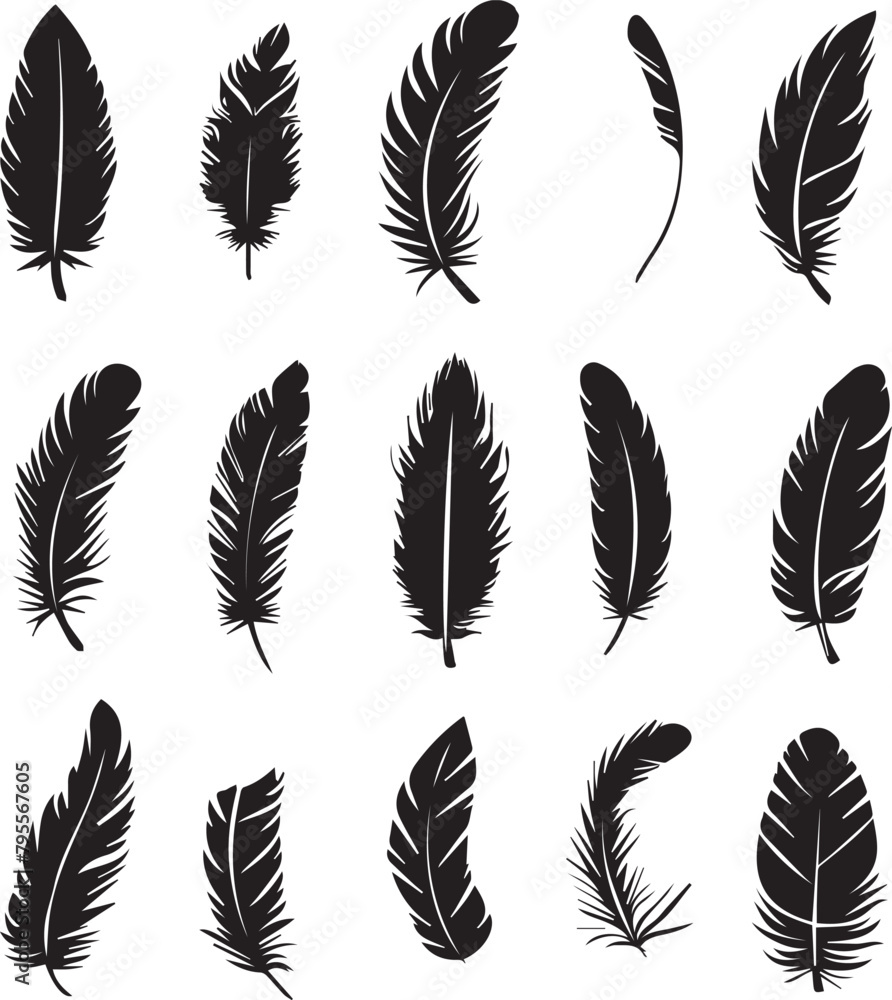 set of feathers vector