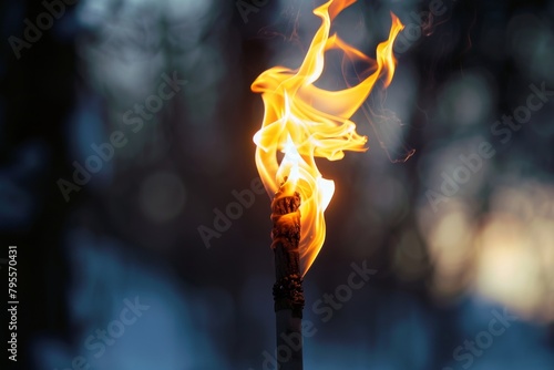 Bright torch flames illuminating the darkness against a transparent white surface, evoking images of adventure