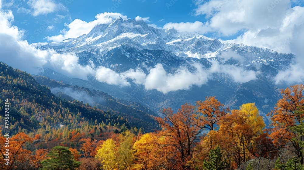 Snow-capped mountains and trees