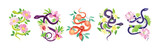 Graceful Snakes Coiled Around Beautiful Blooming Flower and Foliage Vector Set