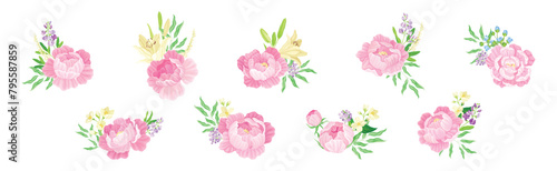 Colorful Peony Flower Buds with Showy Petals Vector Set