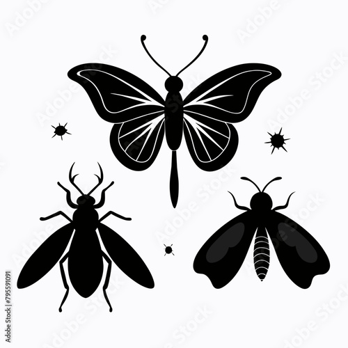 Butterfly, ink silhouettes. Glowworms, fireflies and butterflies icons isolated on white background © Chayon Sarker