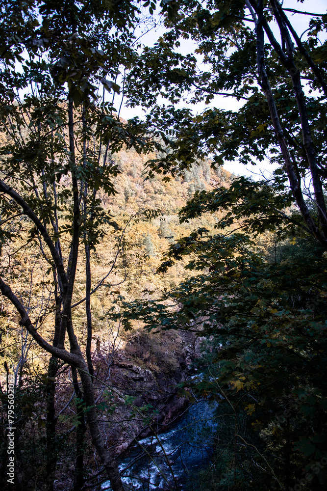 Autumn landscape in a mountain forest. Autumn landscape in a mountain forest.