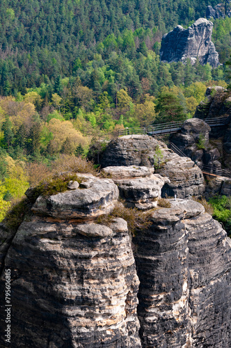 Beautiful summer view of Elbe river from Bastei view pont. Colorful morning scene of Saxon Switzerland national park, Germany, Europe. Splendid landscape of Sandstone Mountains, Saxony.