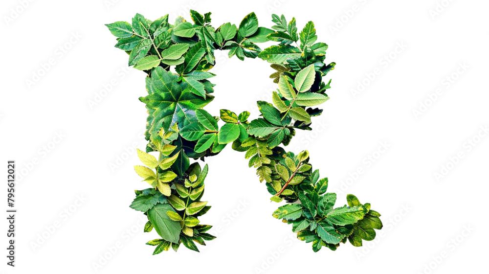 The letter R of the English alphabet from the leaves of green plants isolated on white background PNG The letter R of the English alphabet from the leaves of green plants isolated on white background PNG