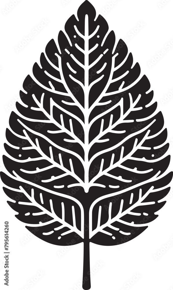 Fototapeta premium black and white feather