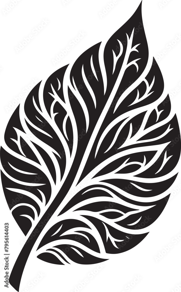 Obraz premium black and white feather