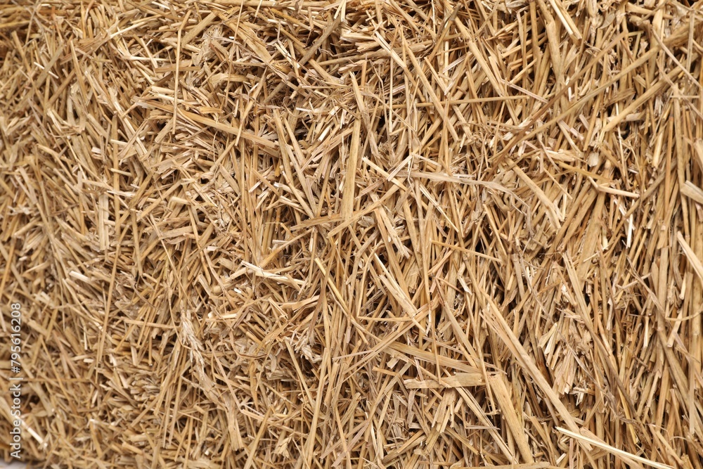 Pile of dried straw as background, top view Pile of dried straw as background, top view