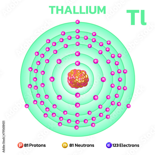 Thallium atomic structure.Consists of 81 protons and 81 electrons and 123 neutrons. Information for learning chemistry