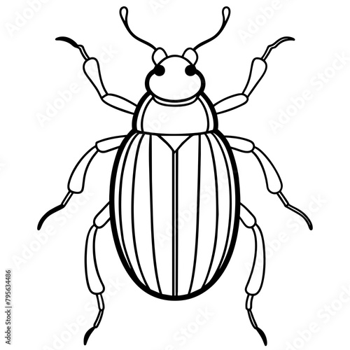 vector illustration of a beetle