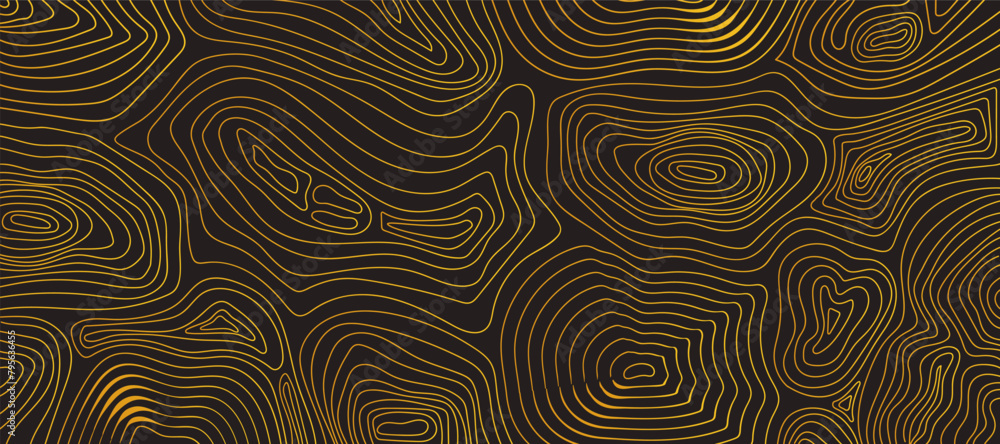 Luxury gold abstract line art background vector. Texture of golden lines on a black background, topographic structure. Design illustration for wall art, fabric, packaging, web, banner, app, wallpaper.